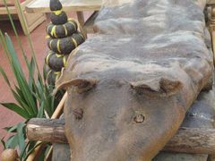 -三锅莊·牦牛肉火锅·香格里拉特色藏餐宴请餐厅(昆明创始店)