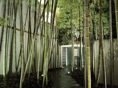 -穹六人间 people 6(岳阳路店)