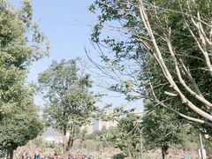 -牛岗山公园