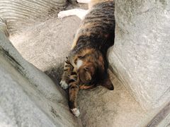 -宝通禅寺