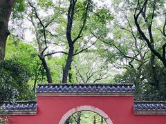 -灵谷景区