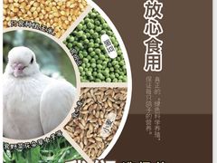 -吧嘚嘴炭烧鸽串吧(北海街店)