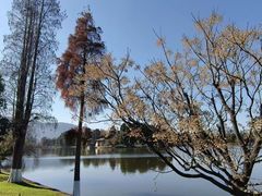 -云南滇池花园国际大酒店温泉