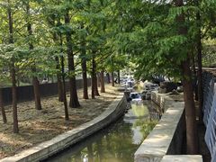 -白水寺森林公园