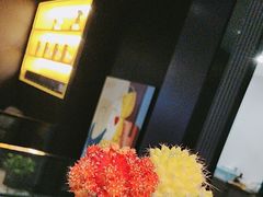 -梵猫·新养生(鹭江大同店)