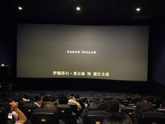 -AMG海上明珠影城(上海环球港RealDCinema店)