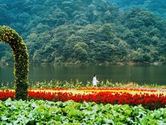-广州市石门国家森林公园