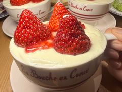 -O'eat Blossom&Pelican(深圳首店)