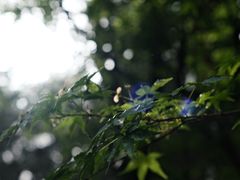 -云龙山