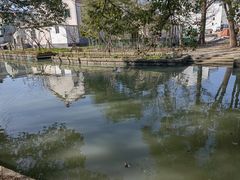 -同里国家湿地公园