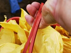-南汇水蜜桃采摘(大团店)