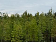 -白鹭湾湿地公园