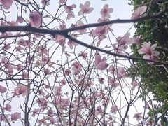 -堤角公园