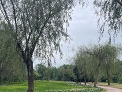 -白鹭湾湿地公园