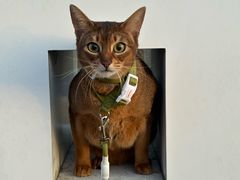 -红跑车(大学城店)