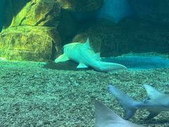 -泉城欧乐堡海洋极地世界