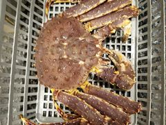 -海港酒家(上水新丰店)