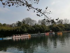 -花溪公园