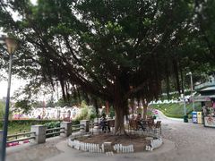 -龙环葡韵住宅式博物馆