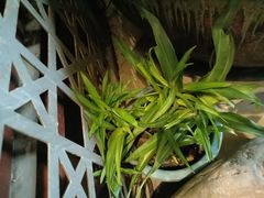 -湘当爱·鲜煮现炒(松岗立业路店)