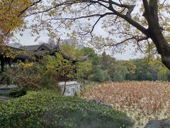 -高子水居