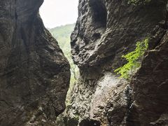 -牛背梁国家森林公园