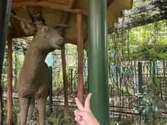 -长鹿旅游休博园