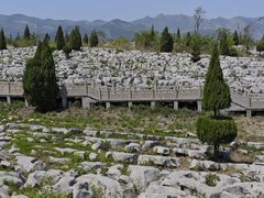 -原山国家森林公园