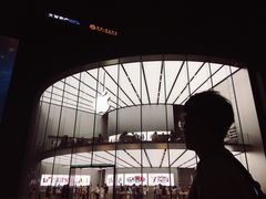 -Apple零售店(新街口店)