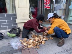 -南渝食府.石锅鸡(尚城花园店)