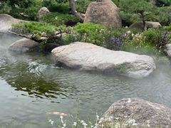 -罗红摄影艺术馆