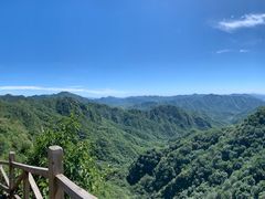 -大岭沟猕猴桃谷风景区
