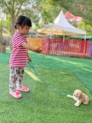 -萌宠亲子动物乐园(槐房万达店)