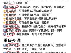 -黄家码头老火锅(解放碑旗舰店)