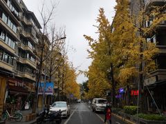 -奎星楼街