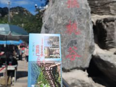 -大岭沟猕猴桃谷风景区