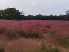 -汉长安城未央宫国家考古遗址公园