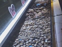 -聚盛源蒸汽海鲜火锅烤肉自助(巨川金海岸购物广场店)