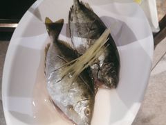 -青蓬蒸汽海鲜·深圳老字号·团建聚会(壹方城店)