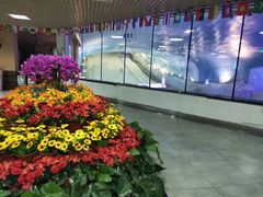 -世界之窗阿尔卑斯冰雪世界