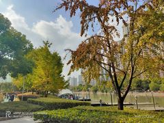 -苏州河梦清园环保主题公园