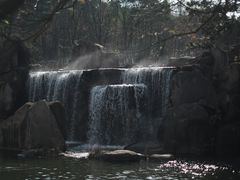-白马涧龙池景区