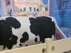 -红星前进面包牛奶公司(君太店)