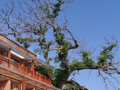 -丽江泸沽湖景区