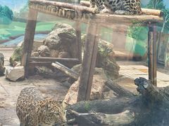 -昆明动物园