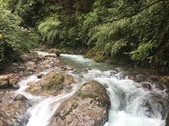-西岭雪山大飞水景区