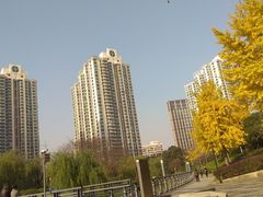 -苏州河梦清园环保主题公园