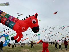 -潍坊滨海云门国际风筝放飞场