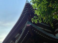 -仁寿寺
