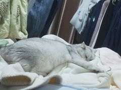 -佳雯宠物医院·皮肤科·内外科(春晓路分院)